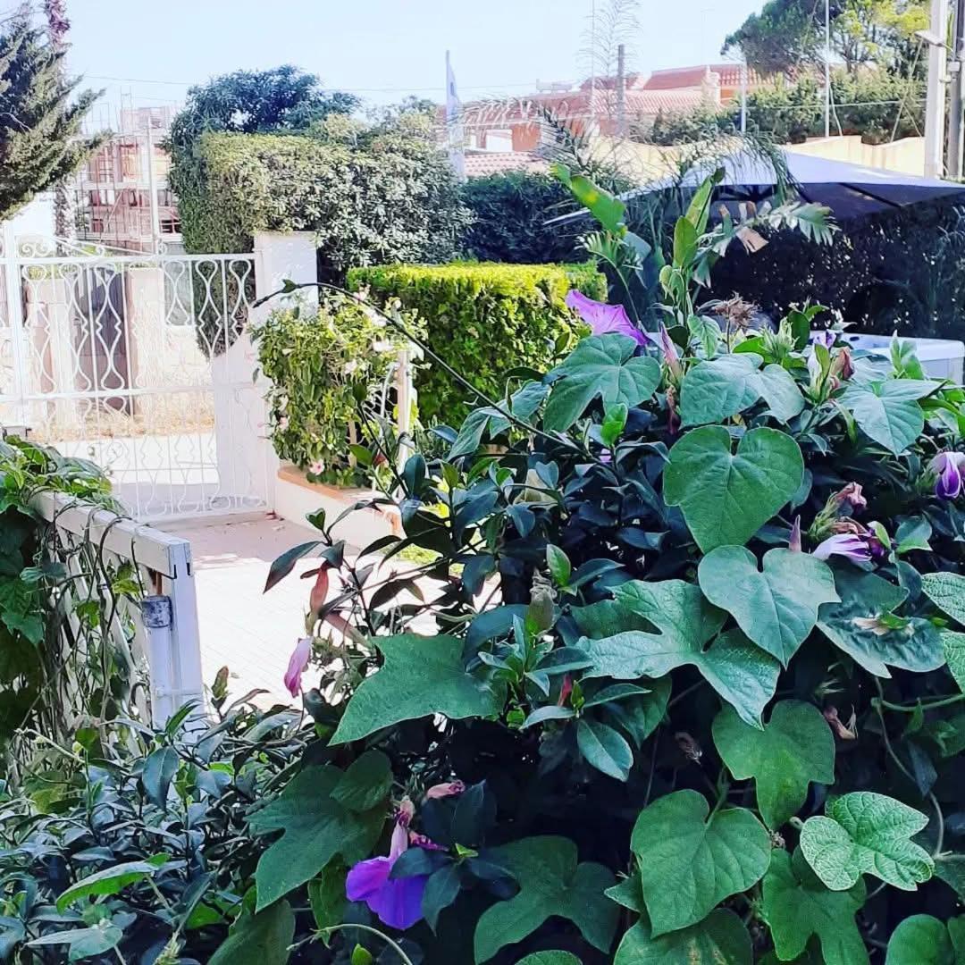 Sottovento Marzamemi Rooms&Relax 外观 照片